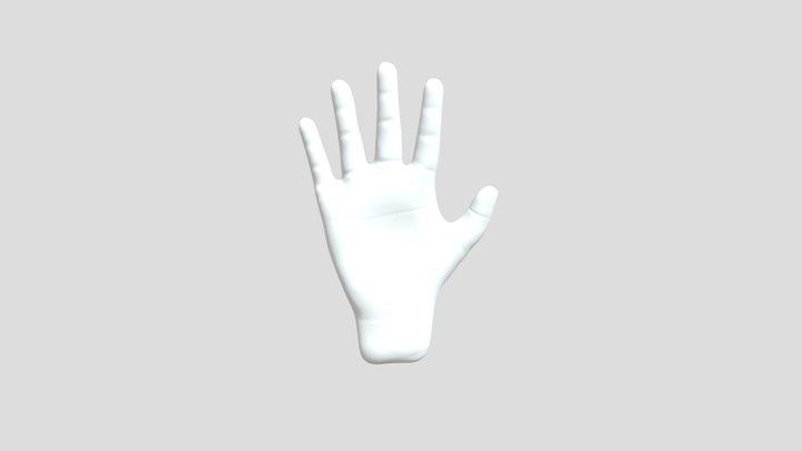 Hand 3D Model