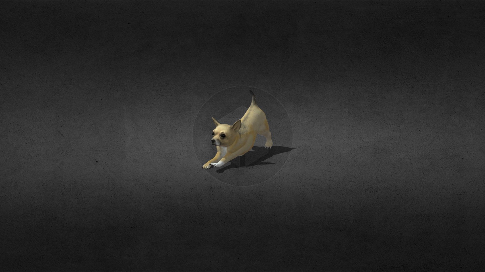 Cantoro animado