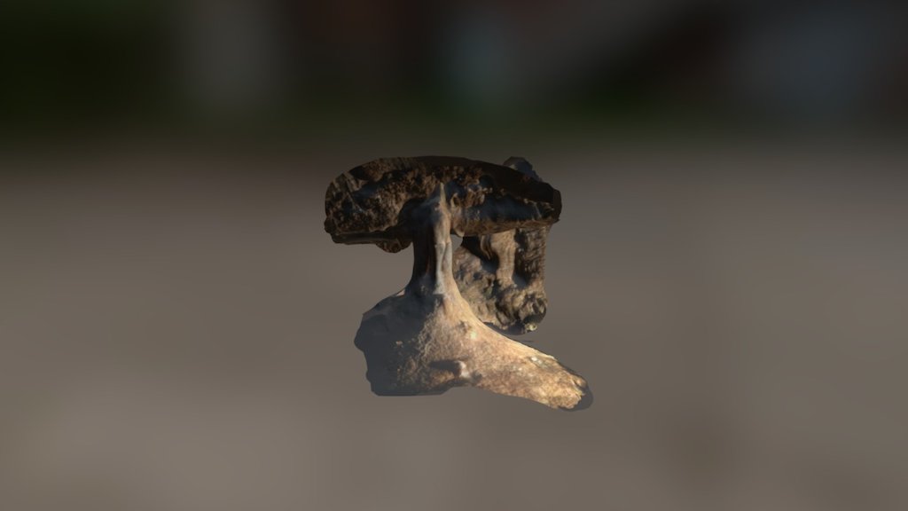 A TRNIO Model