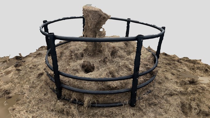 Hay Ring 3D Model