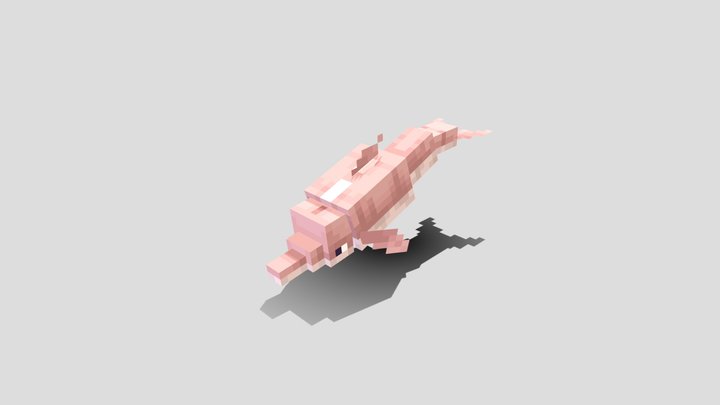 Minecraft Chinese River Dolphin [Baiji] 3D Model