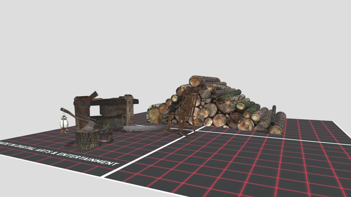 DAE 5 Finished props - Forest Loner 3D Model