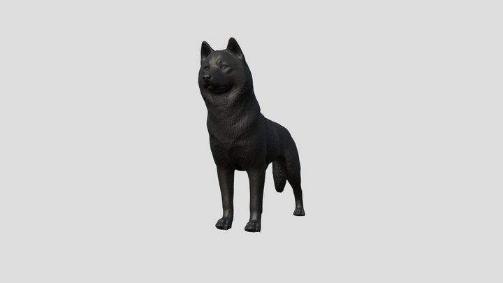 Siberian Husky Dog 3D Model