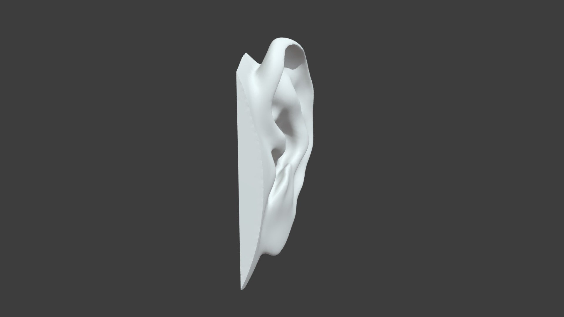 ear 3 - 3D model by MatyasGrof [a8e77e8] - Sketchfab
