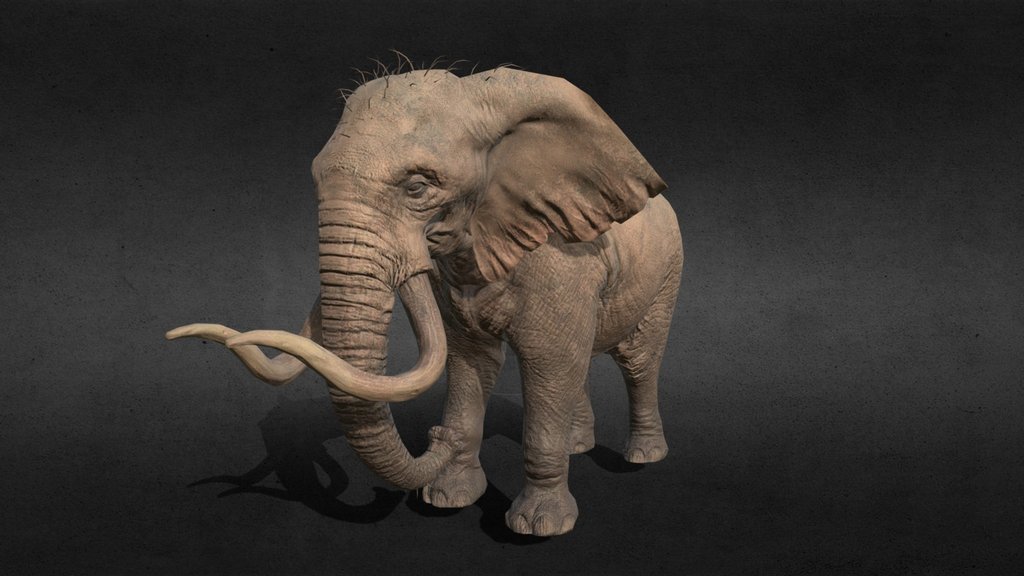 wild animals A 3D model collection by apo11o (apo11o) Sketchfab