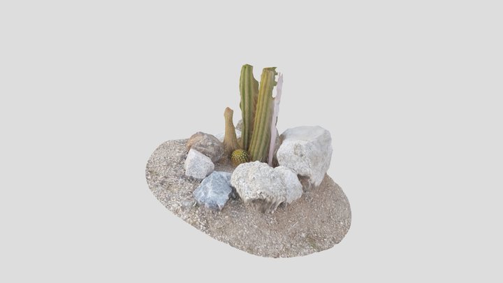Joshua Tree CA Cactus 3 3D Model