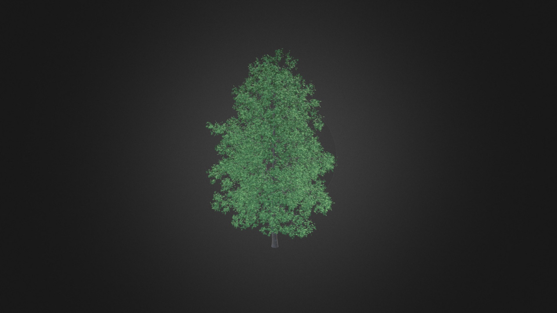 3D model American Sweetgum 3D Model 5.4m - This is a 3D model of the American Sweetgum 3D Model 5.4m. The 3D model is about background pattern.