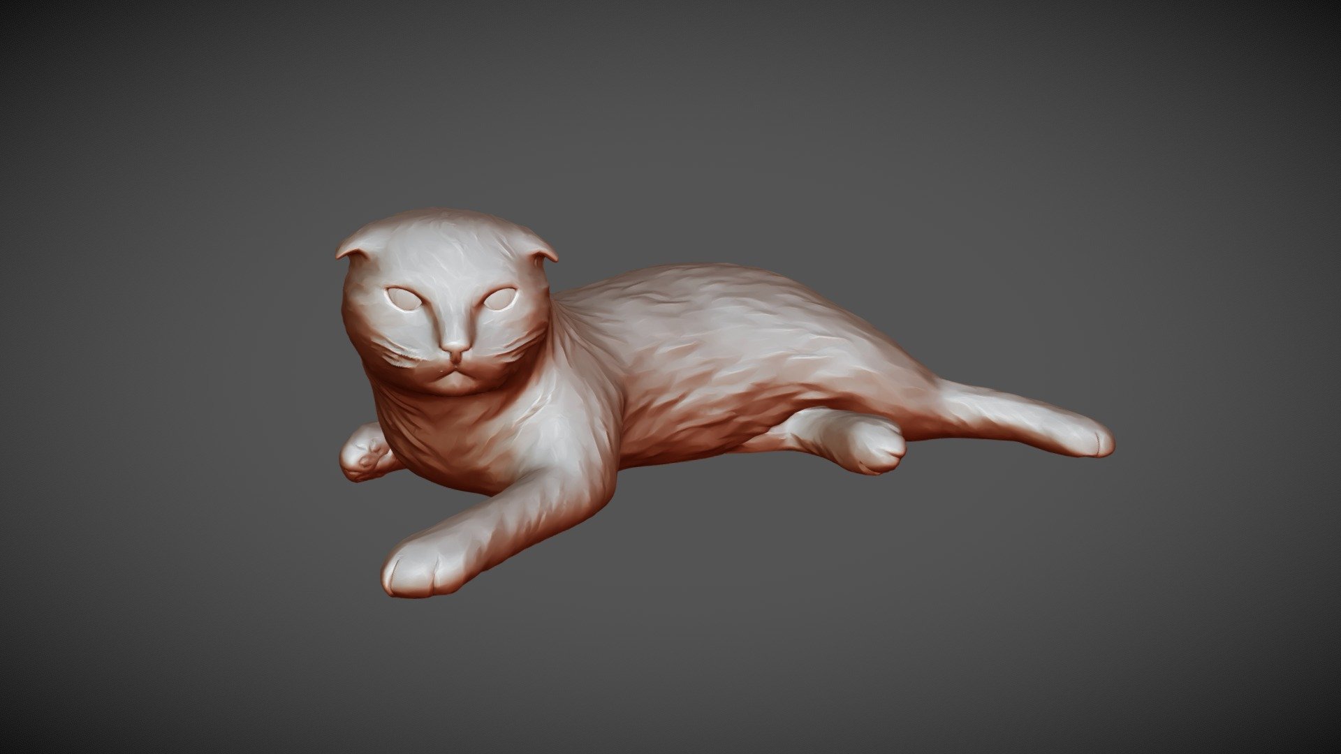 Cat_Draft - 3D model by Uma Yeung (@uma_yeung) [a8efe17] - Sketchfab