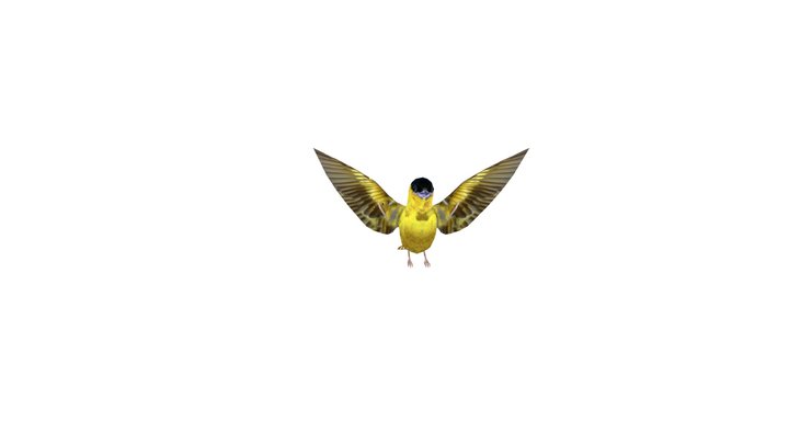 10825517 3D Model