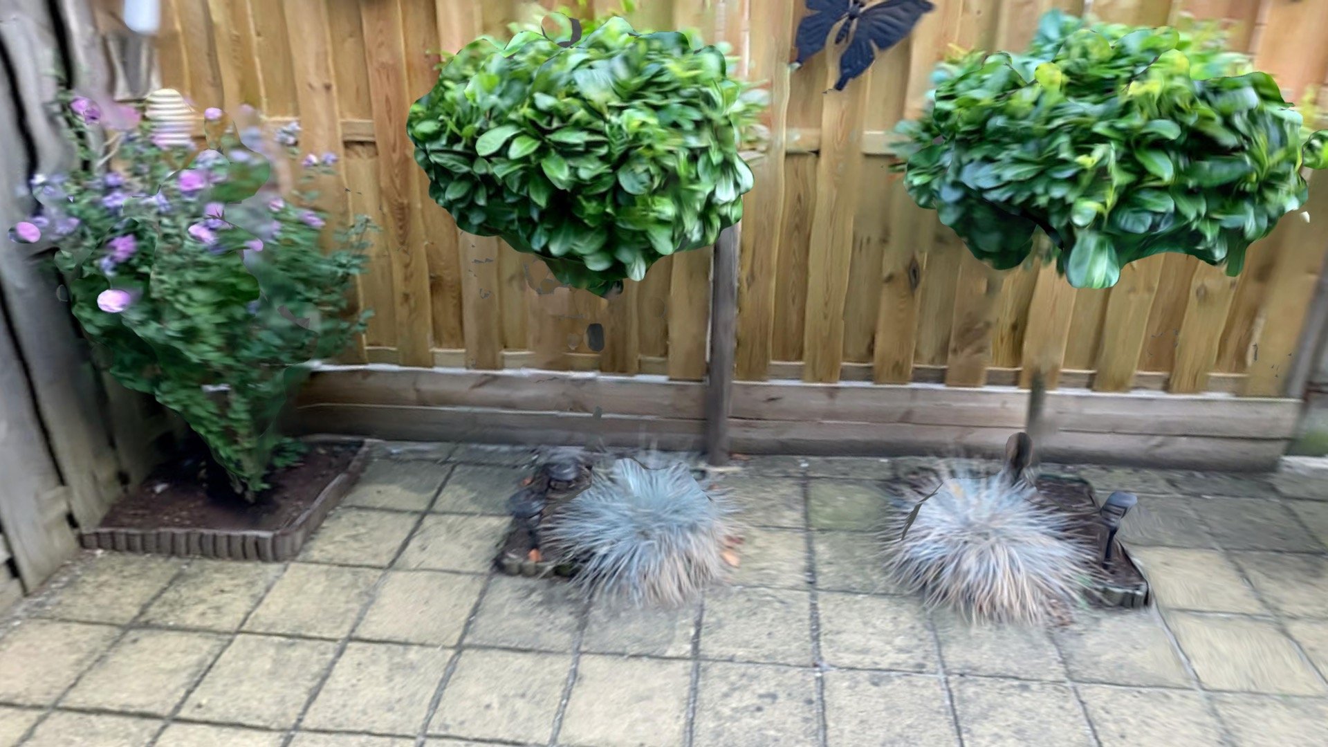 Tuin Garden
