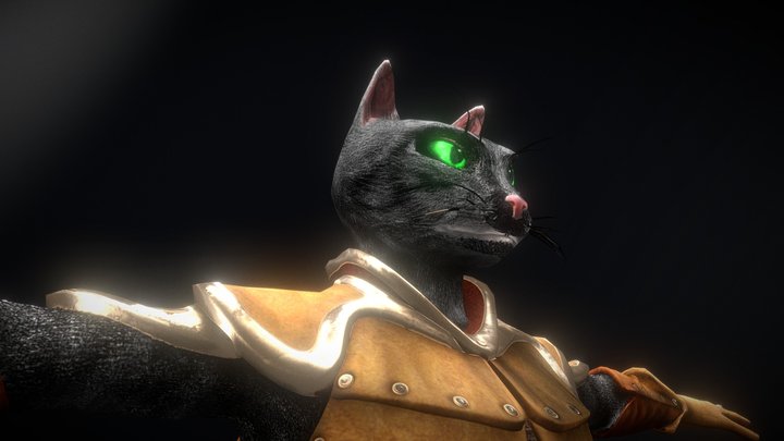 Cat Fighter 3D Model