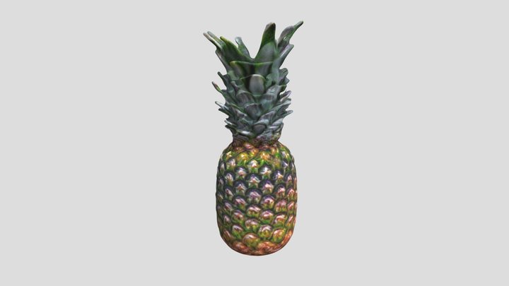 Pineapple fruit 1 3D Model