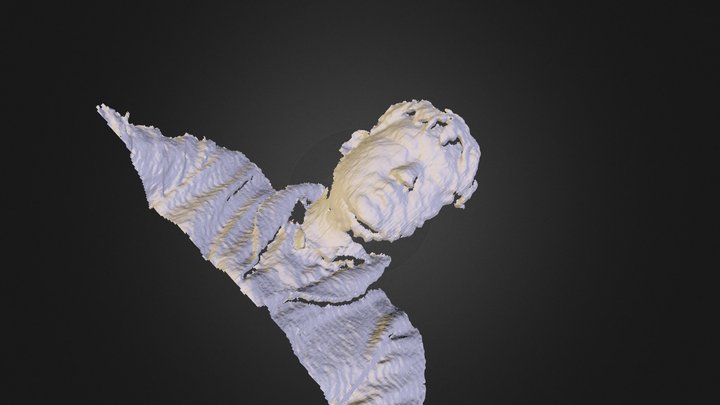 MeshedReconstruction 3D Model