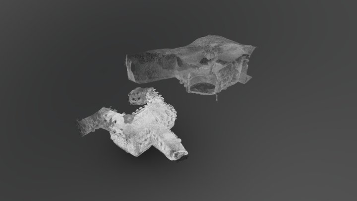 Conexión Fase 1 Fase 2 3D Model