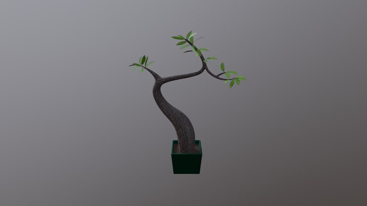Plant Final 3D Model