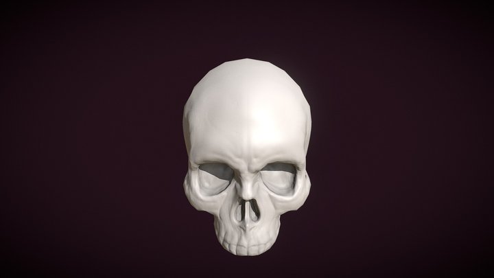 Skull 3D Model