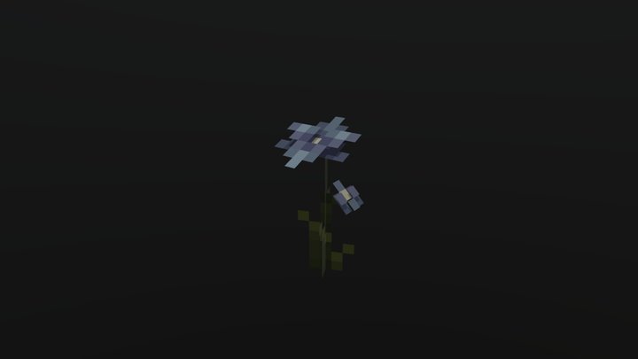 Orchid thelymitra cyanea 3D Model