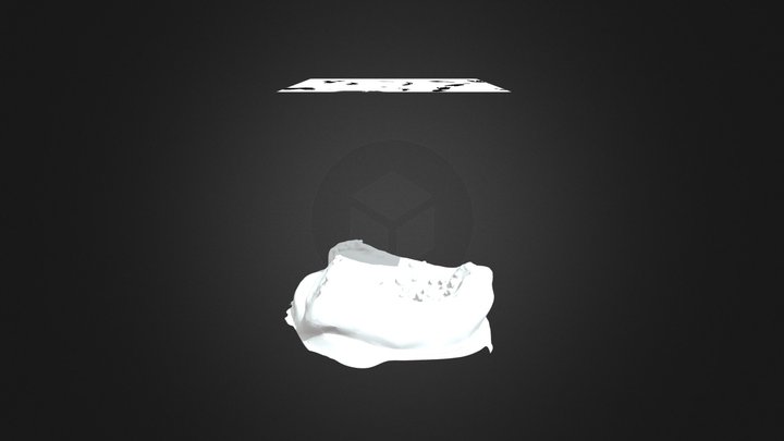 Papaya 3D Model