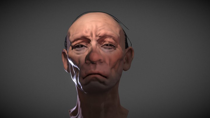 Man head sculpt – Free 3D Model STL