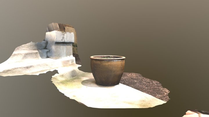 First Trnio 3D Scan 3D Model