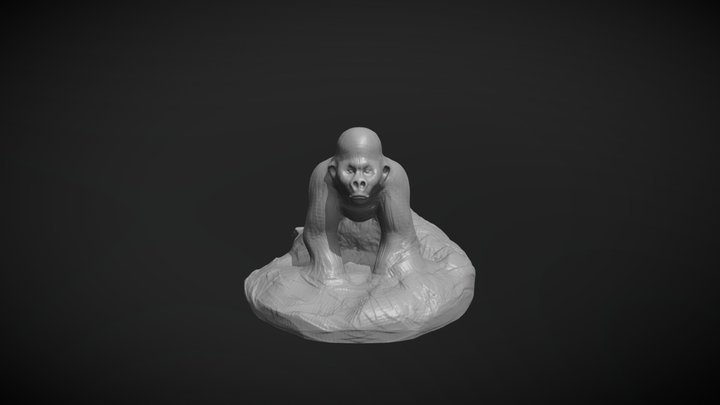 1 hour Gorilla 3D Model