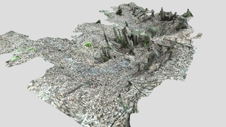 Pas Ronds n°5 (Gouffre des) 3D Model