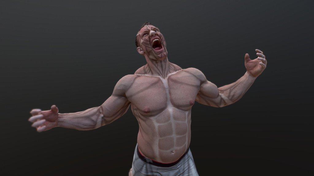 Anatomy Practice on 3D Scan