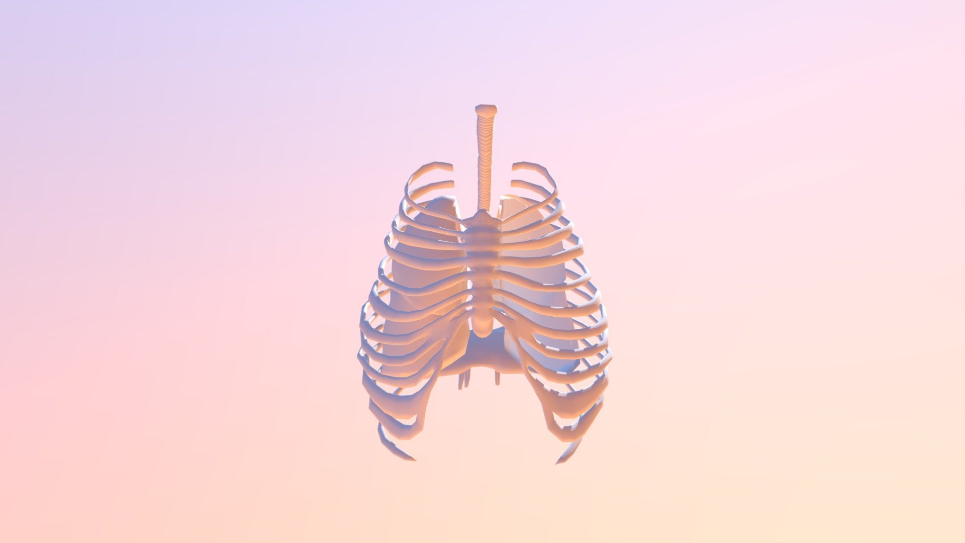 Lungs - 3D model by ed3dkc [a90a7af] - Sketchfab