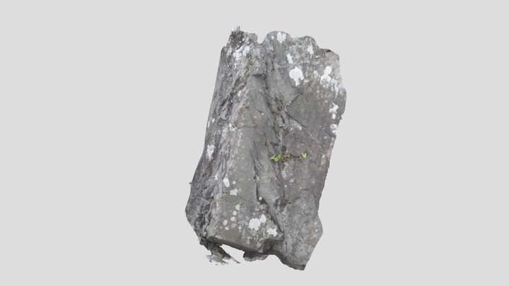 King John's Castle, Carlingford 3D Model