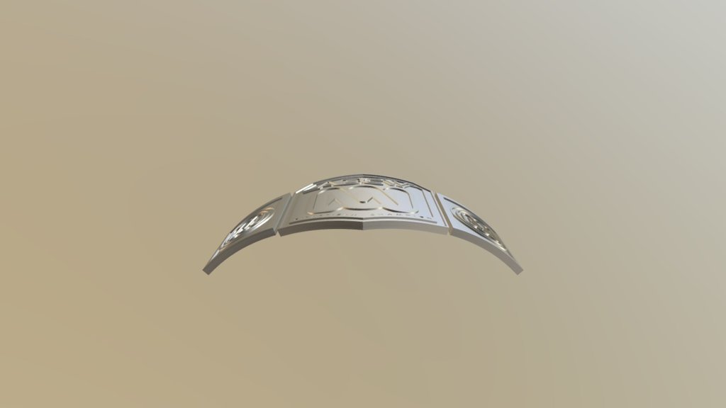 belt with sideplates