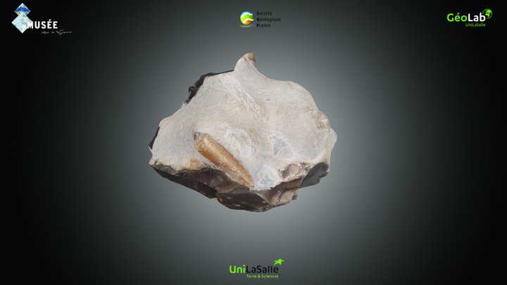 Roche - Silex – Kostenloses 3D-Modell STL