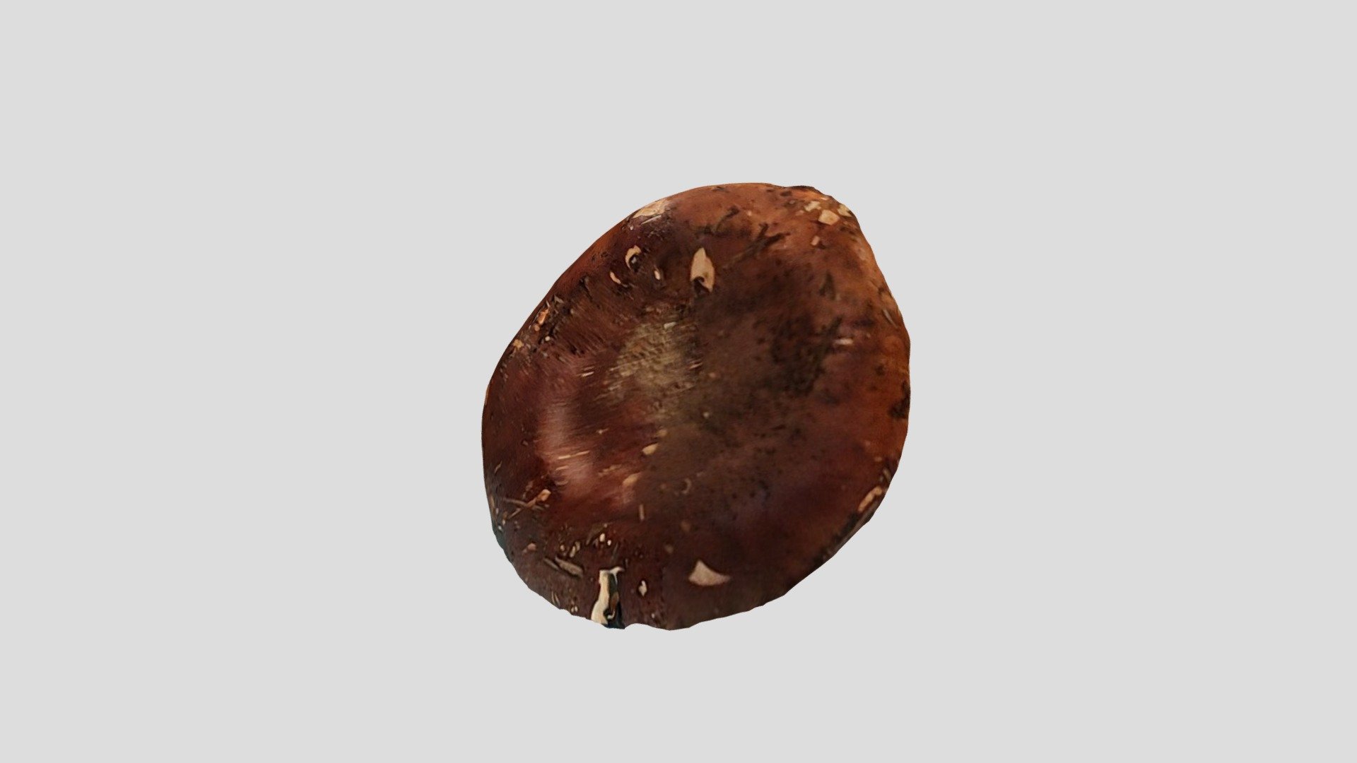 mushroom1