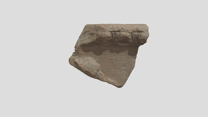 Terracotta - Cosa Excavations C19.095 3D Model