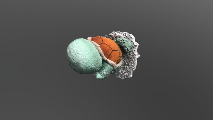 Squirtle1 3D Model