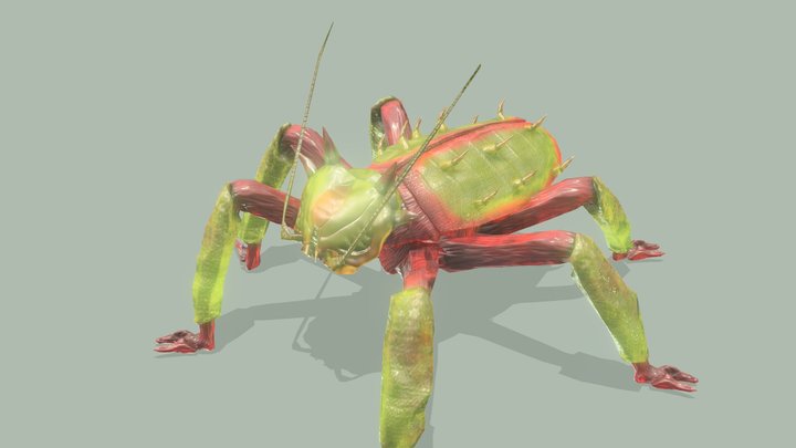 Forest beetle – Modello 3D gratuito STL