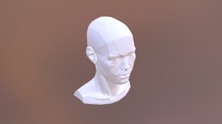 face plane 3D Model