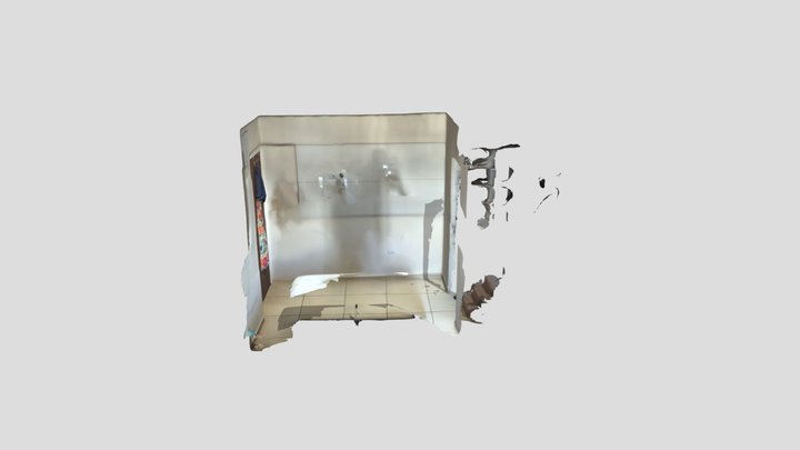 Scaniverse 2026-02-21 112053 3D Model