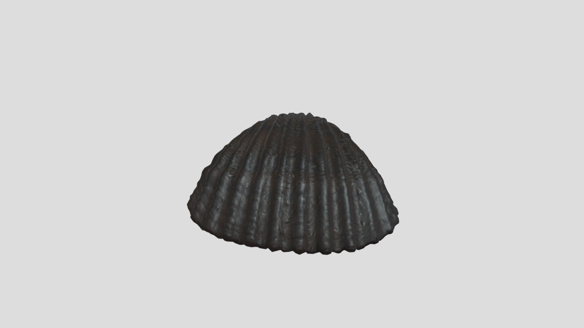 Seashell - Download Free 3D model by pipefitter619 [a921607] - Sketchfab