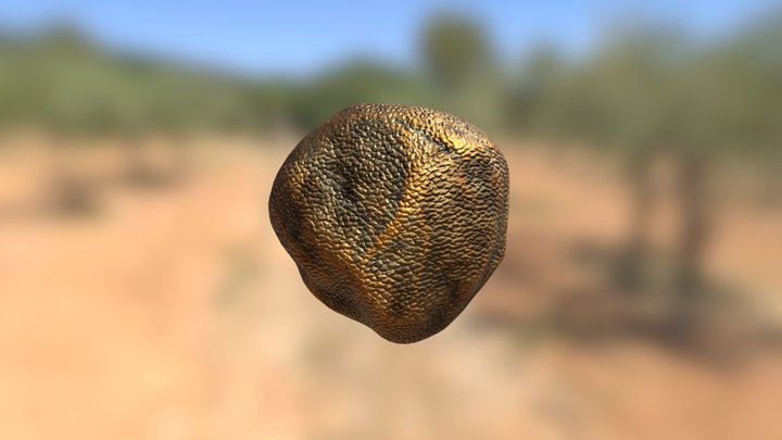 Climbing/Dragon stone/rock 3D Model