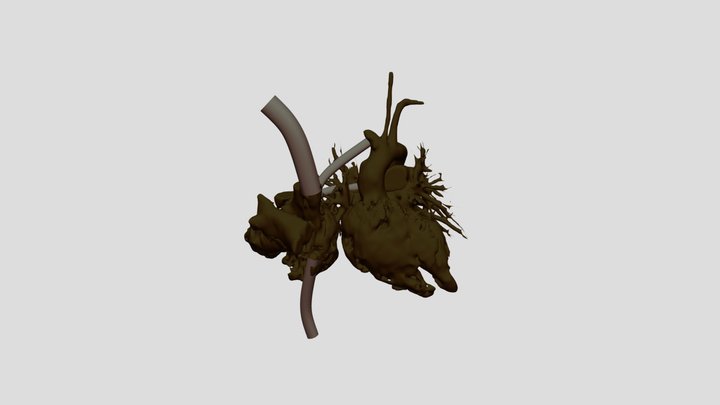 hhtattemptgood v1 3D Model