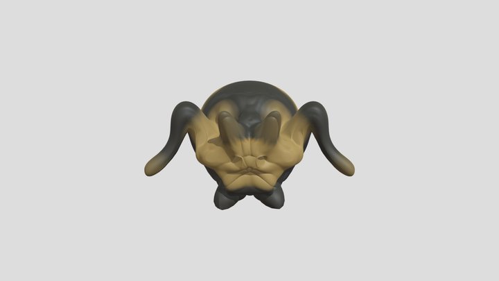 extrodinaries 3D Model