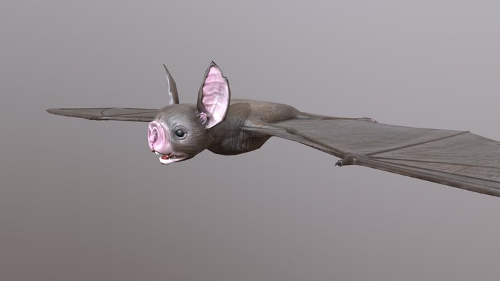 Bat_Final 3D Model