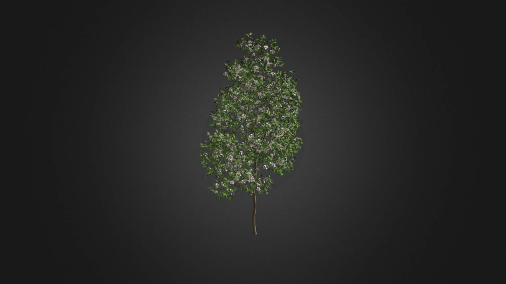 3D model Apple Tree with Flowers 3D Model 3.8m - This is a 3D model of the Apple Tree with Flowers 3D Model 3.8m. The 3D model is about a tree with green leaves.