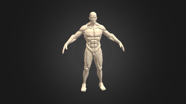 BODY 3D Model