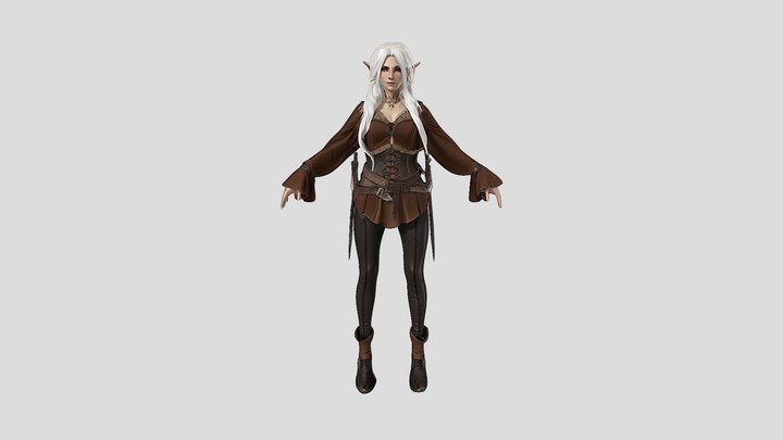 Elven Adventurer 3D Model