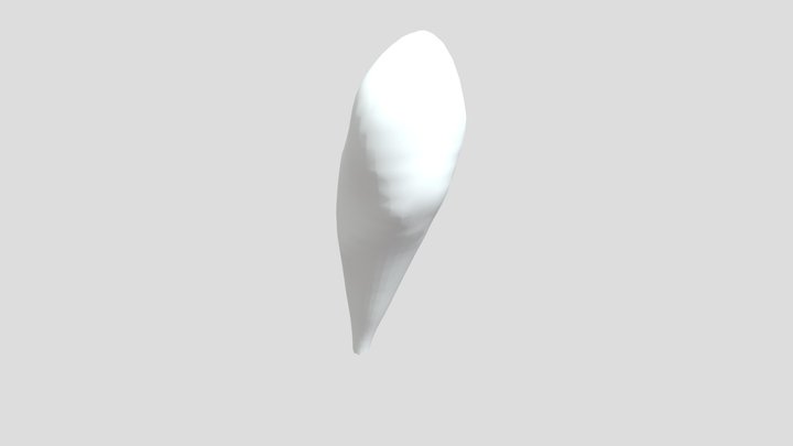 Teeth 3D Model