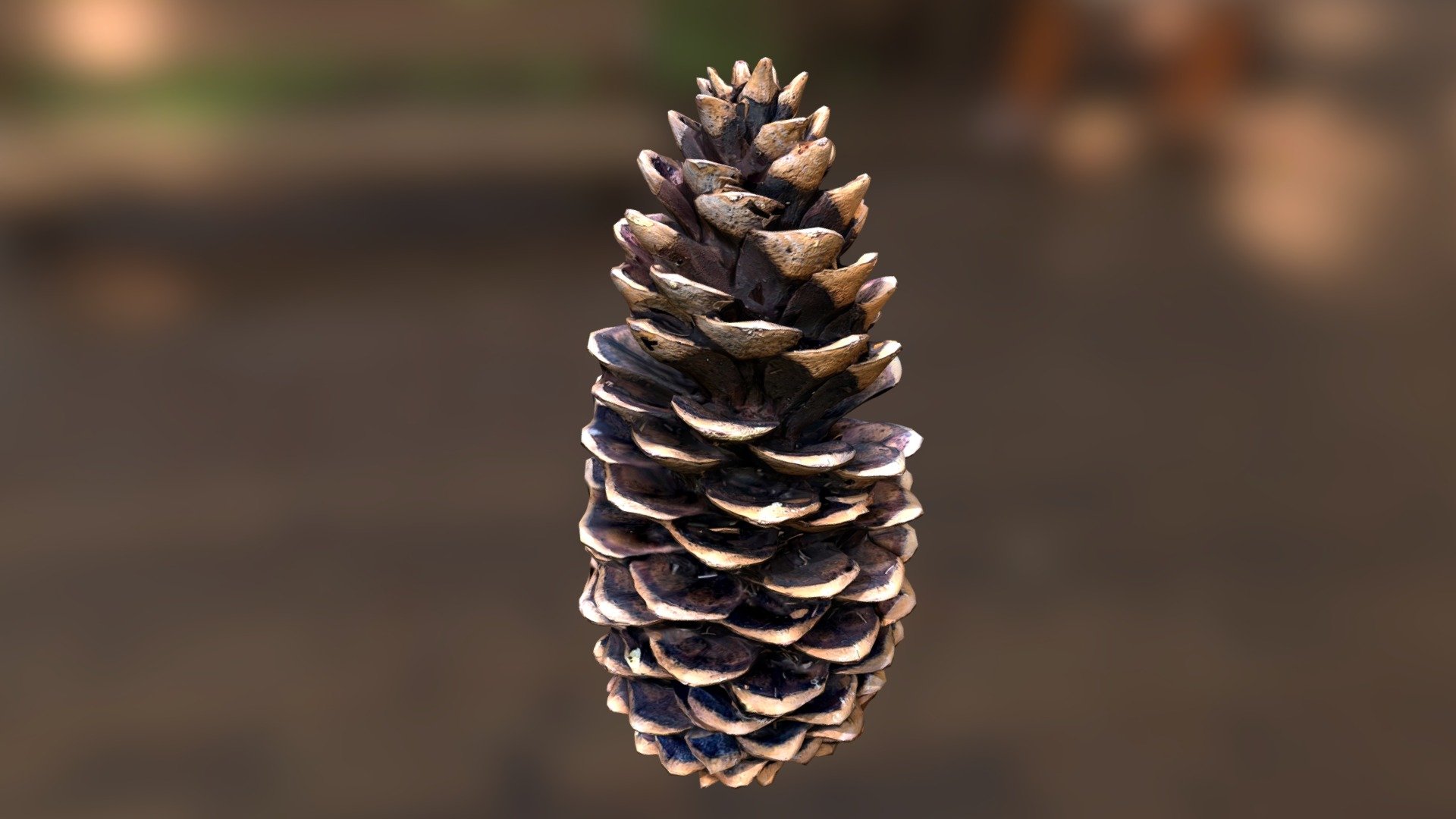 Pinecone Photoscan - Download Free 3D model by EFX (@evan4129) [a92df85 ...