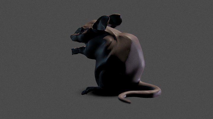 Mouse 3D Model