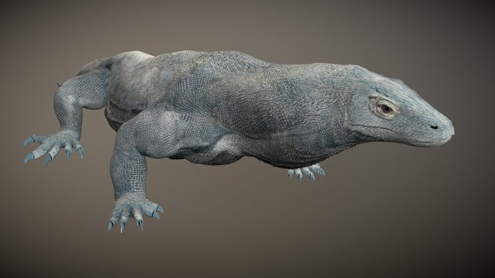 Komodowaran 3D Model