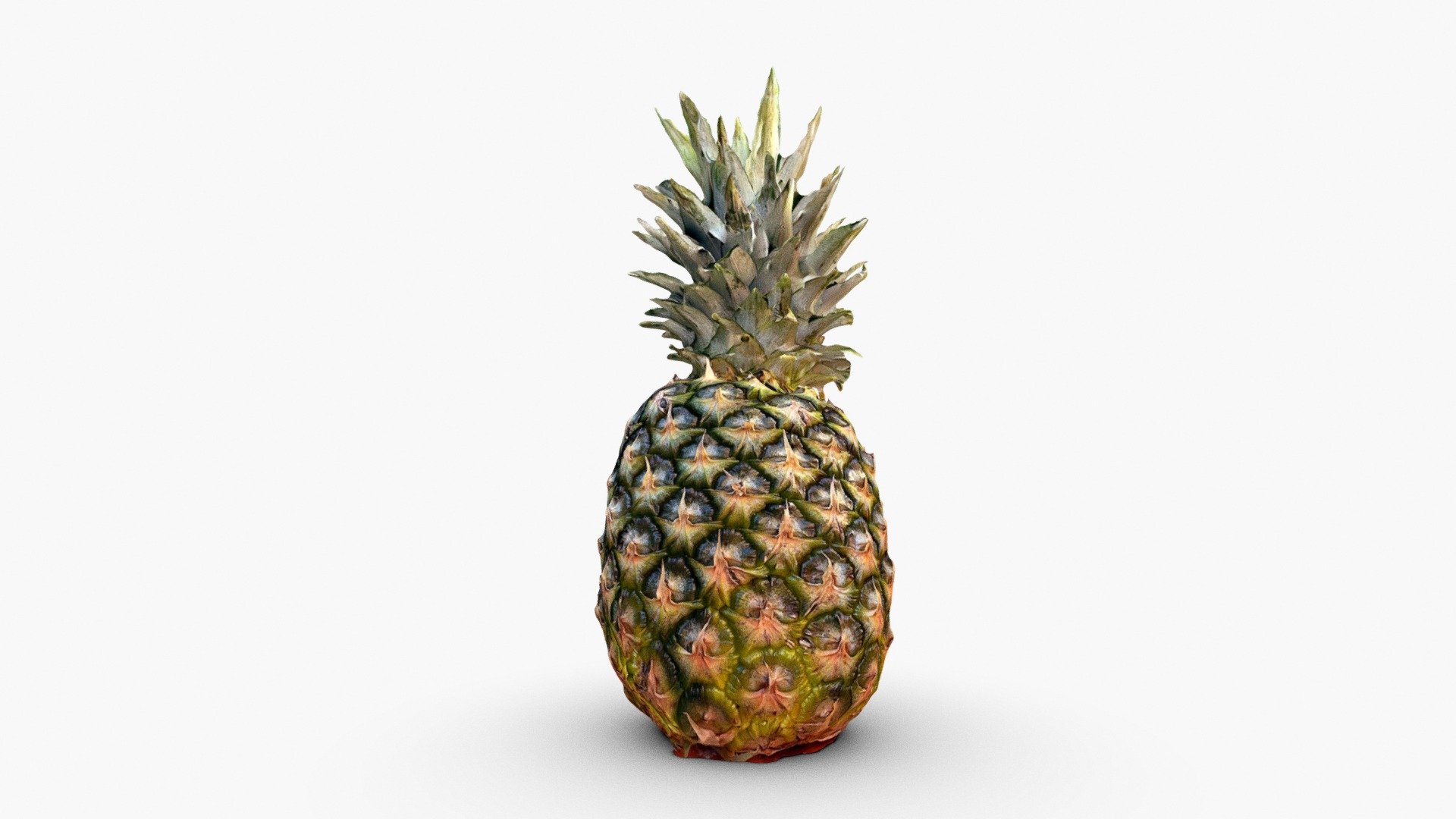 Pineapple - Download Free 3D model by Scaniverse [a9341ce] - Sketchfab